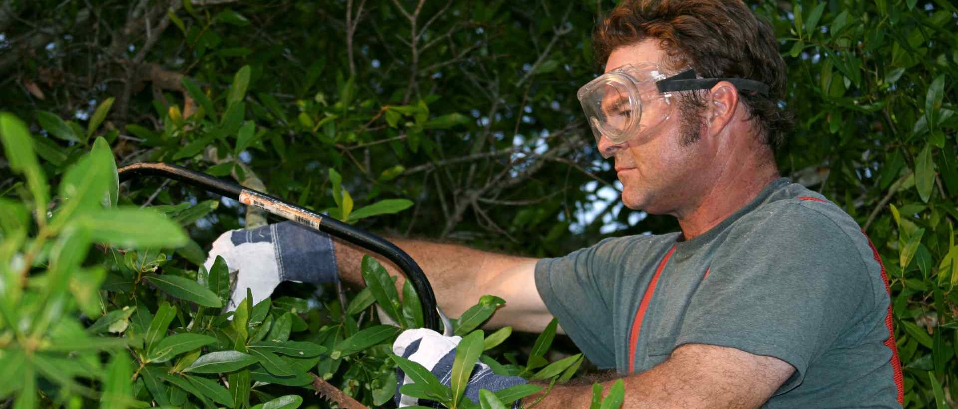 garden clearance NW5